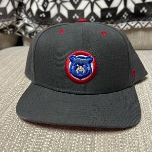 Tennessee Smokies SnapBack hat
